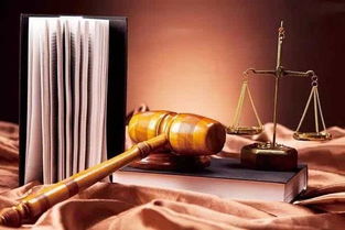 文物拍賣(mài)中權(quán)利競(jìng)合關(guān)系的妥善處理